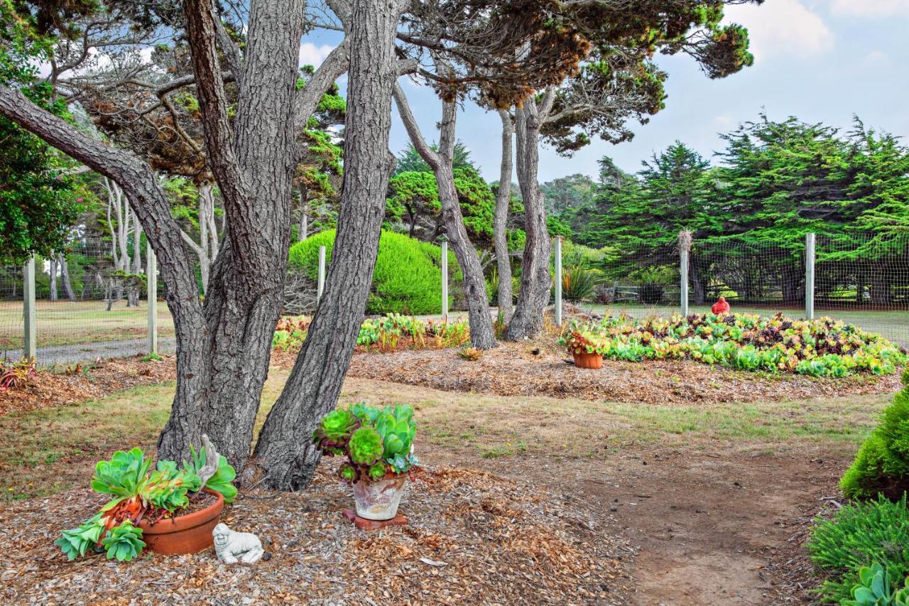 Villa Sunset Point Fort Bragg Esterno foto